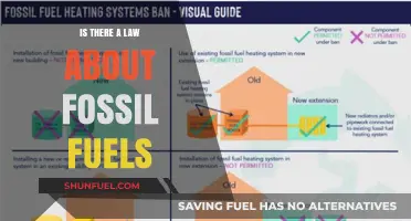 Fossil Fuel Laws: What Regulations Govern Their Use and Extraction?