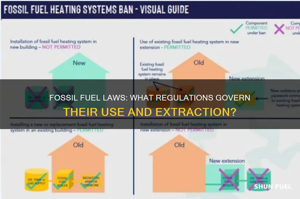 is there a law about fossil fuels