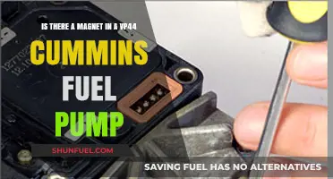 Does the VP44 Cummins Fuel Pump Contain a Magnet?