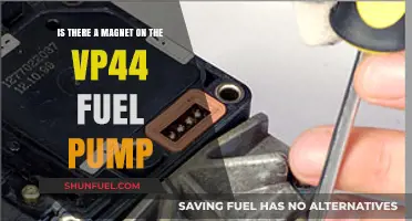Does the VP44 Fuel Pump Include a Magnet Component?