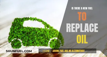 The Future of Fuel: What Will Replace Oil?