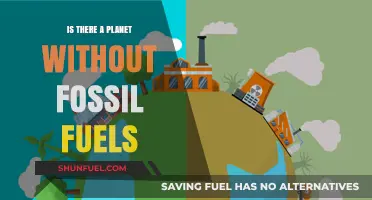 Exploring Worlds Beyond: Are There Planets Without Fossil Fuels?