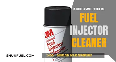 Fuel Injector Cleaner: Any Smell to It?