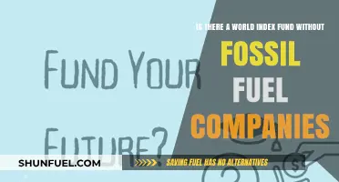 Ethical Investing: World Index Funds Excluding Fossil Fuel Companies