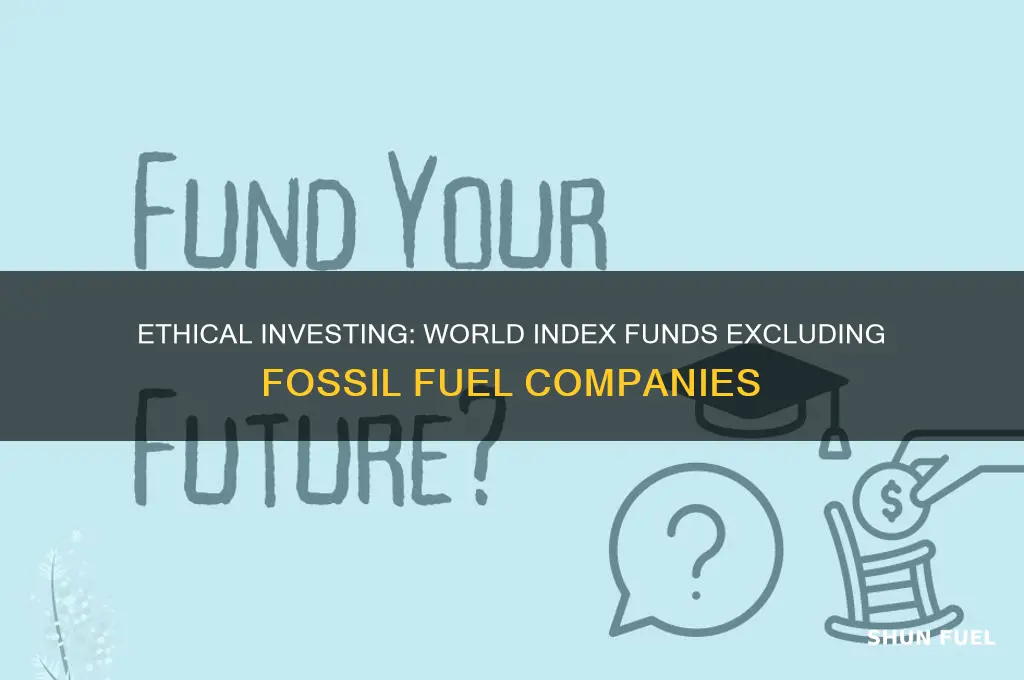 is there a world index fund without fossil fuel companies
