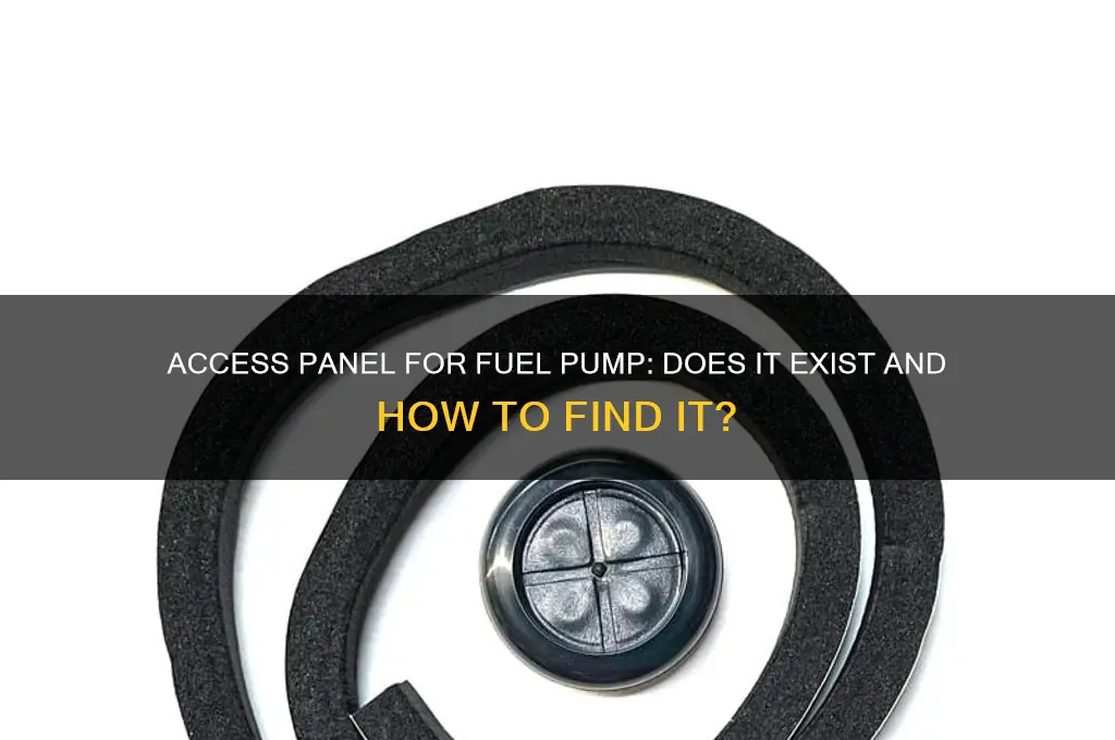is there an access panel to the fuel pump