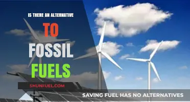 Exploring Sustainable Energy: Alternatives to Fossil Fuels for a Greener Future