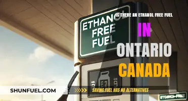 Ethanol-Free Fuel Options in Ontario: What Are Your Choices?