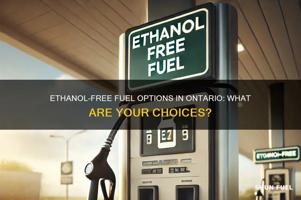 is there an ethanol free fuel in ontario canada