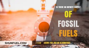 Debunking the Myth: Are Fossil Fuels Truly Infinite?