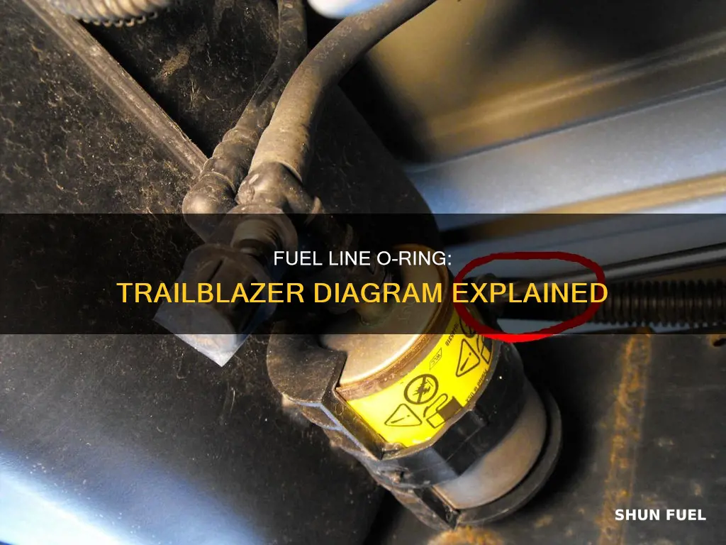 is there an o ring in trailblazer fuel line diagram