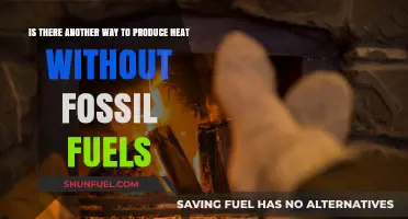 Exploring Sustainable Alternatives to Fossil Fuels for Clean Heat Production