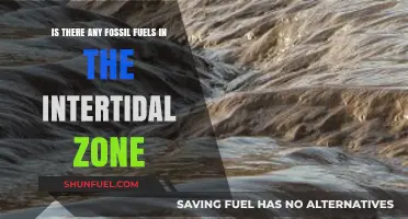 Exploring Fossil Fuels in the Intertidal Zone: What Lies Beneath?