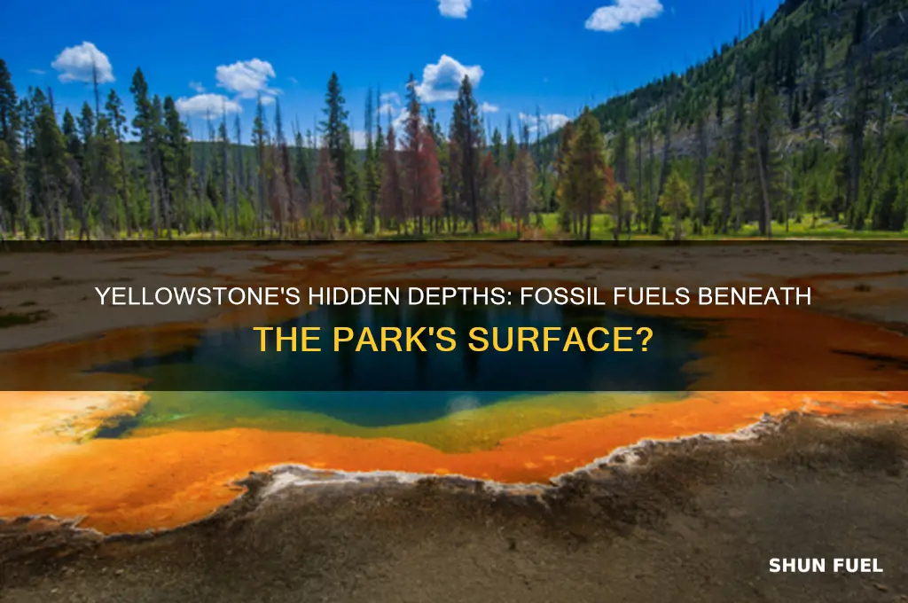 is there any fossil fuels in yellowstone national park