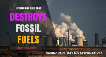 Can Viruses Destroy Fossil Fuels? Exploring the Science Behind the Myth