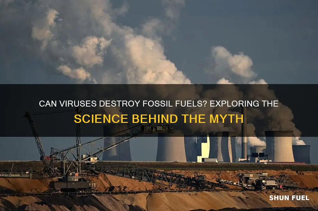 is there any virus that destroys fossil fuels