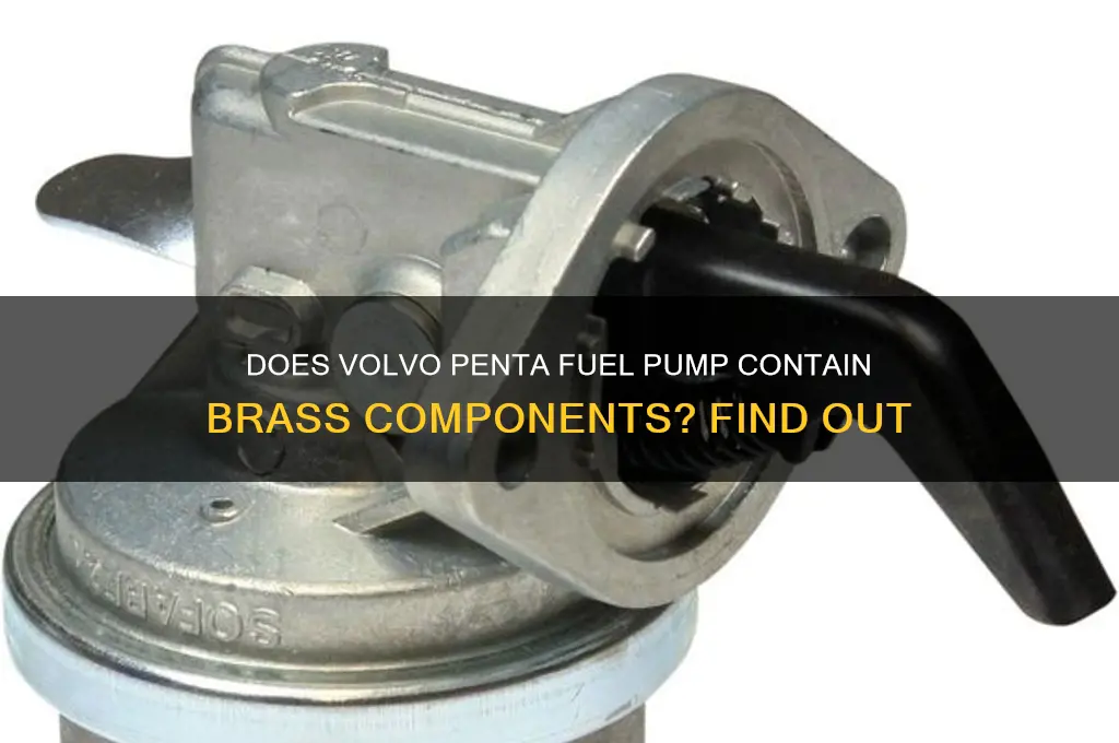 is there brass in volvo penta fuel pump