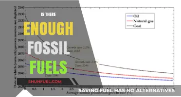 Are Fossil Fuels Finite? Exploring Global Reserves and Future Sustainability