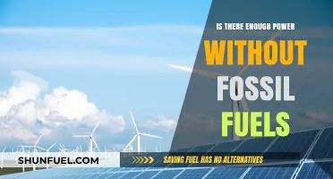Can Renewable Energy Sources Sustain Global Power Demands Without Fossil Fuels?