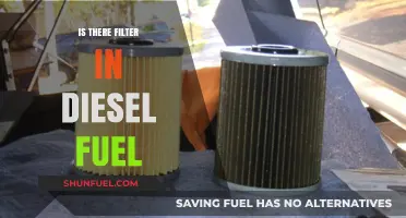 How Filters Ensure Clean Diesel Fuel