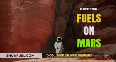 Exploring Mars' Energy Potential: Are Fossil Fuels Present on the Red Planet?