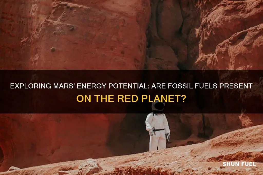 is there fossil fuels on mars