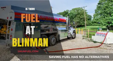 Exploring Blinman: Fuel Availability and Travel Tips for Visitors
