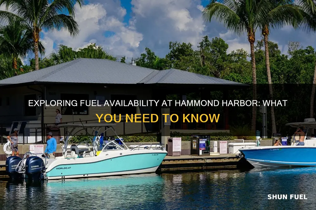 is there fuel hammond harbor