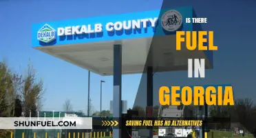 Exploring Georgia's Fuel Availability: What Travelers Need to Know