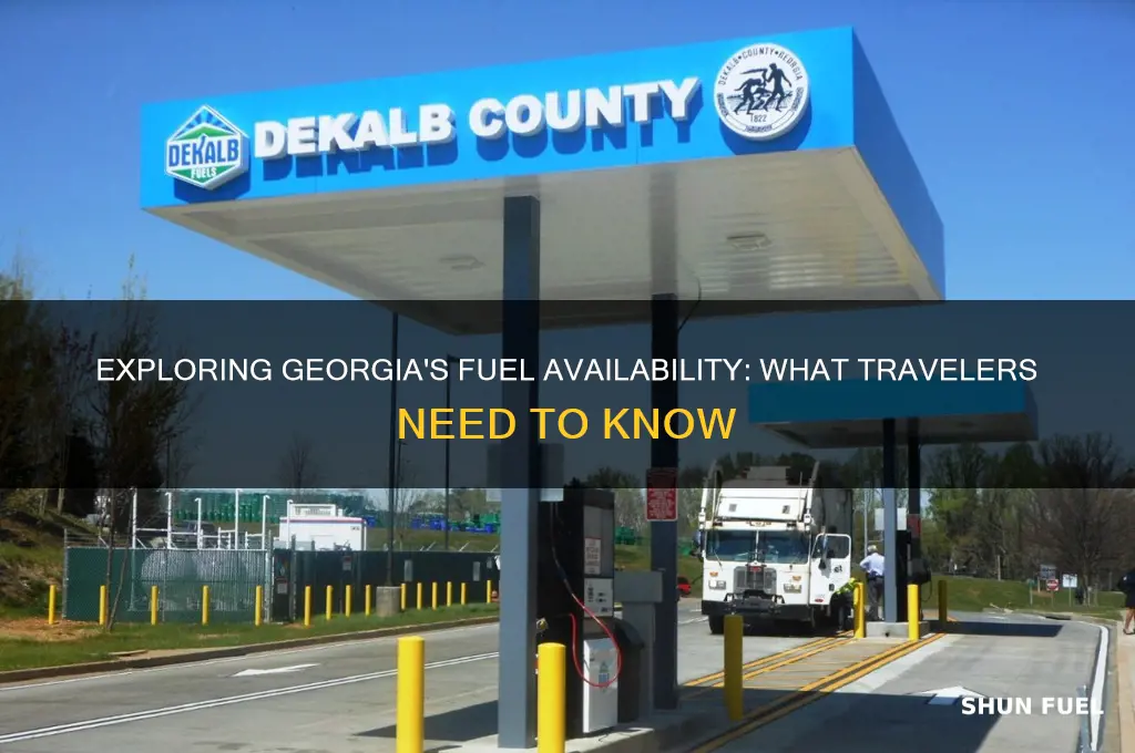 is there fuel in georgia