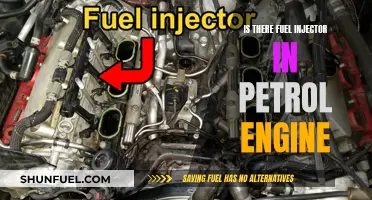 Fuel Injectors: Are They in Petrol Engines?