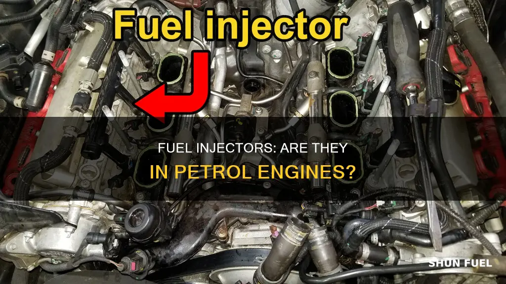 is there fuel injector in petrol engine