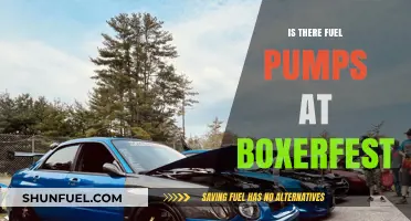 Boxerfest Fuel Pumps: Availability and Convenience for Attendees Explained