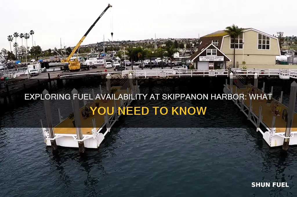 is there fuel skippanon harbor
