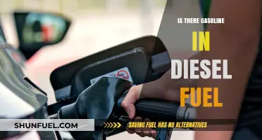 How Diesel and Gasoline Differ: Fuel Facts