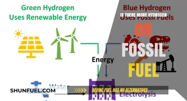 Hydrogen vs. Fossil Fuels: Which Energy Source Dominates Our Future?