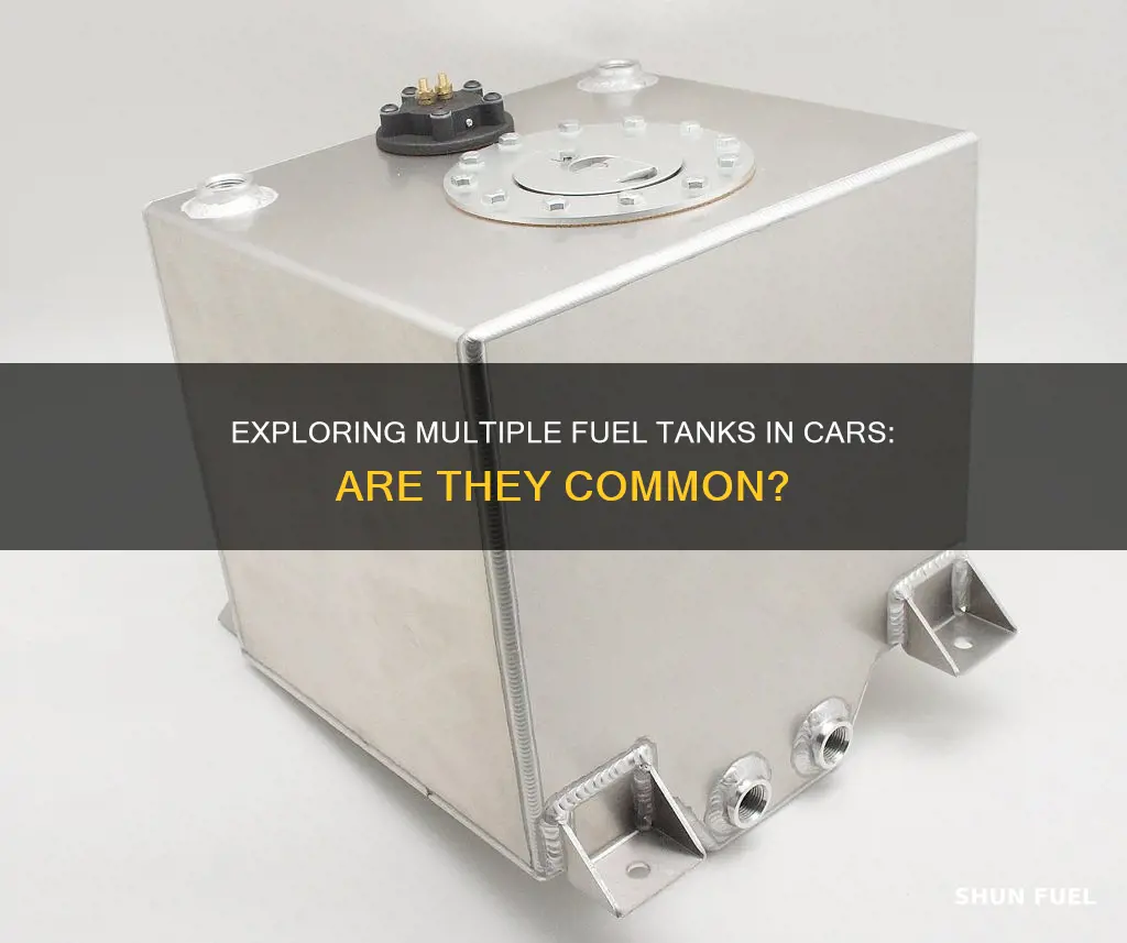 is there more than one fuel tank in a car