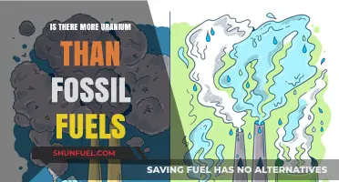 Uranium vs. Fossil Fuels: Which Energy Source is More Abundant?