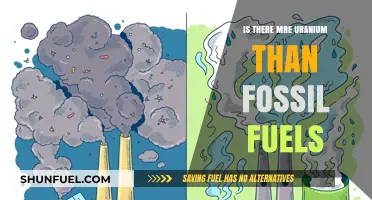Uranium vs. Fossil Fuels: Which Resource is More Abundant?