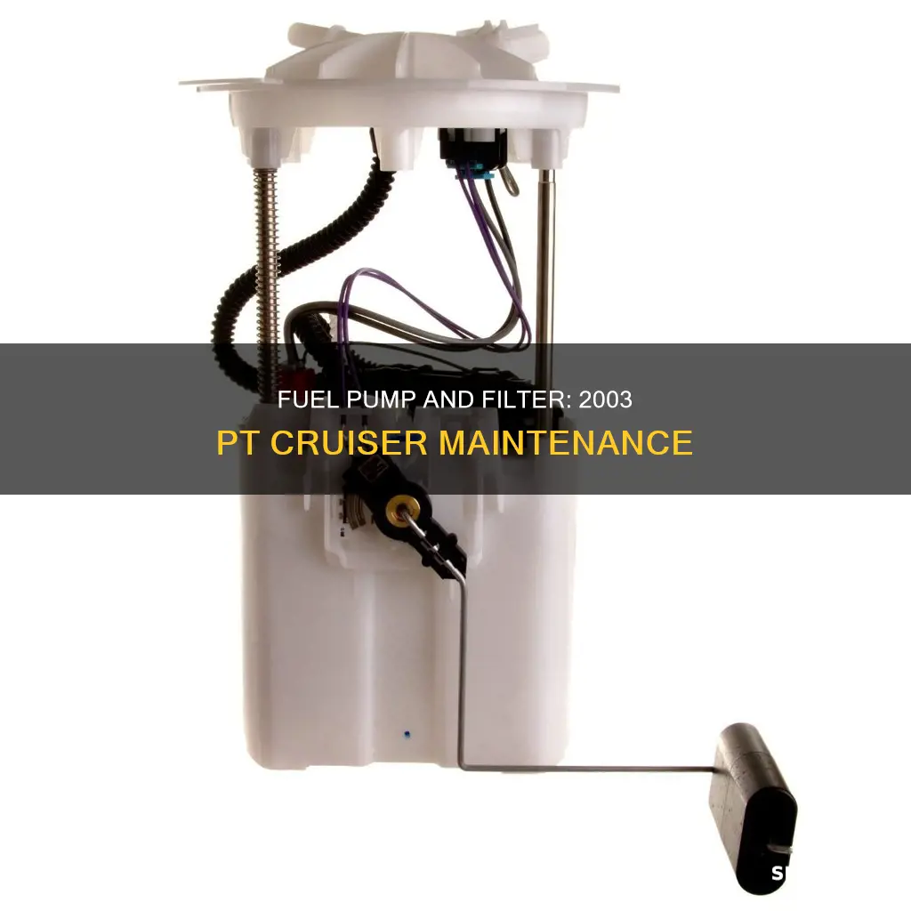 is there pt cruiser 2003 fuel pump and fuel filter