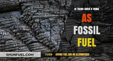 Unveiling the Truth: Do Fossil Fuels Really Exist?