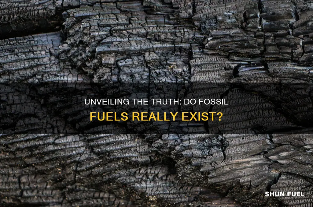 is there such a thing as fossil fuel