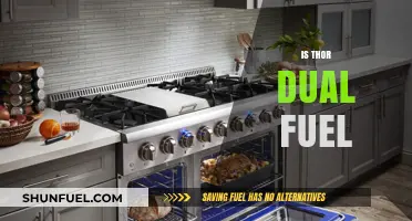 Is Thor Dual Fuel? Exploring RV Power Options and Efficiency