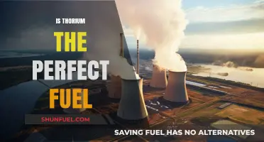 Thorium: The Ideal Energy Source for a Sustainable Future?