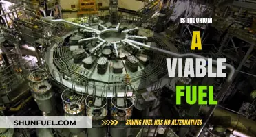 Thorium as a Viable Fuel: Potential, Challenges, and Future Prospects