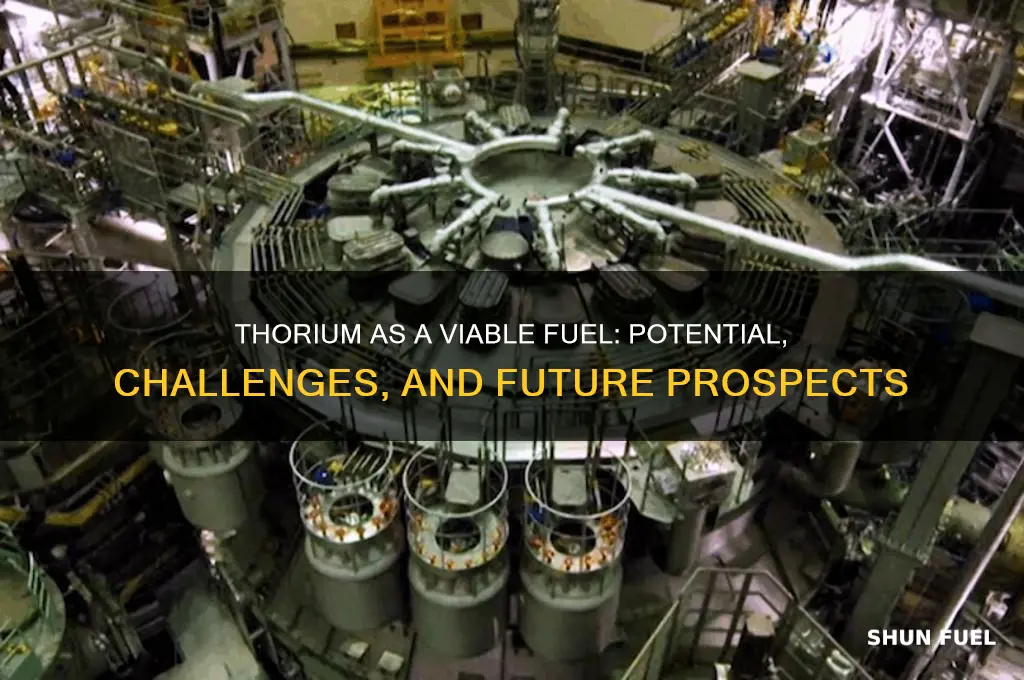 is thourium a viable fuel
