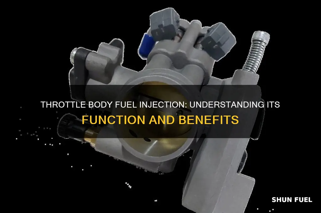 is throttle body fuel injection