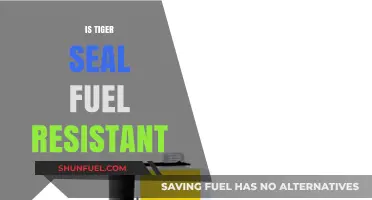 Tiger Seal Fuel Resistance: Fact or Fiction? Expert Insights Revealed