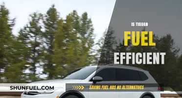 Is the Volkswagen Tiguan Fuel Efficient? A Comprehensive Review