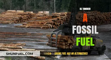 Is Timber a Fossil Fuel? Debunking Myths About Renewable Resources